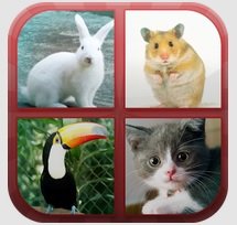 Solution Animaux Quizz Niveau 1 à 20