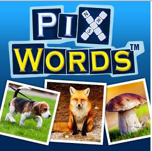 Solution PixWords par Lettres et niveau SJM