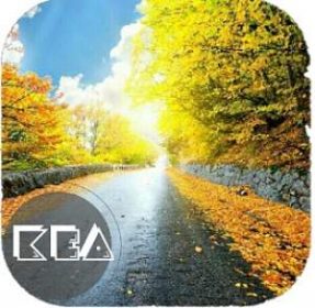 Solution 7x7 photos mélangées tous les niveaux