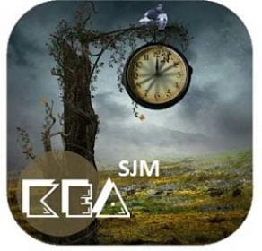 solution 265 mots Niveau 10