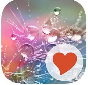 Solution 625 Photos Niveau 5