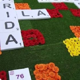 solution 120 Photo Mots croisés niveau 1