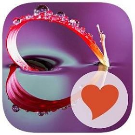 SOLUTION 680 Photos NIVEAU 4
