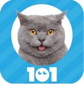 Solution 101 image Capitales