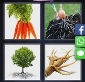solution 4 Images 1 Mot Énigmes Journalières 5 mars 2018 ( pâques )