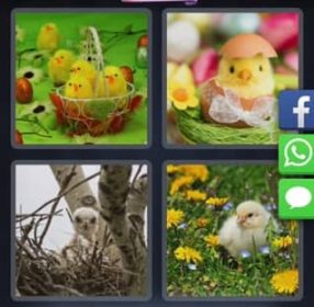 4 Images 1 Mot 8 Mars 2018 Énigme Journalière-min