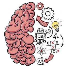 solution Brain Test Niveau 51