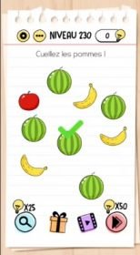 solution Brain Test Niveau 230