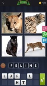 4 Images 1 Mot Énigme Journalière Jamaïque 10 MAI 2020