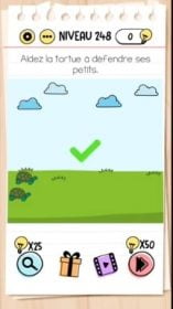 solution Brain Test niveau 248