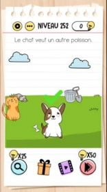 solution Brain Test niveau 252