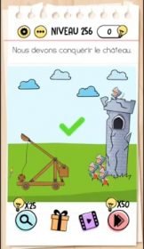 solution Brain Test niveau 256