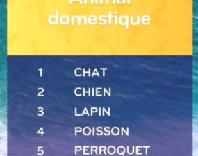 solution top 7 niveau 161 – animal domestique ?