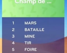 solution top 7 niveau 181 – champ de … ?