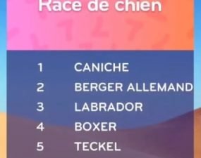 solution top 7 niveau 183 – race de chien ?