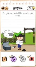 solution Brain Test 2 NIVEAU 4 Ferme d’Émilie  