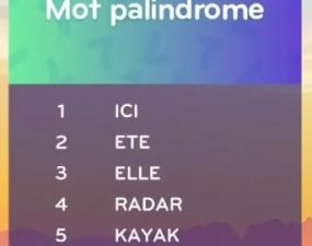 solution top 7 niveau 102 – mot palindrome ?