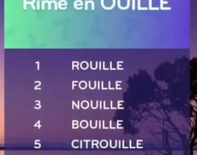 solution top 7 niveau 133 – rime en ouille ?