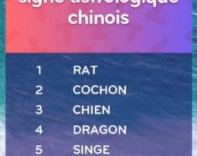 solution top 7 niveau 14 – singe astrologique chinois ?