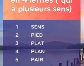 solution top 7 niveau 194 – mot polysémique en 4 lettres