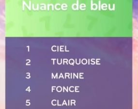 solution top 7 niveau 31 – nuance de bleu ?