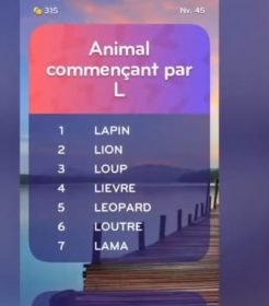 solution top 7 niveau 45