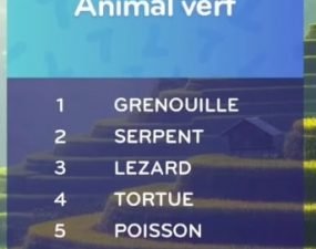 solution top 7 niveau 59 – animal vert ?