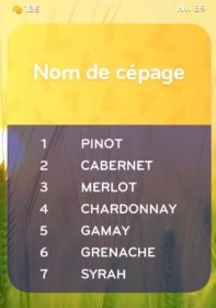 solution top 7 niveau 89