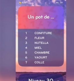 solution top 7 niveau 30