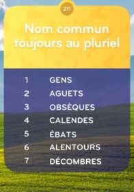 solution top 7 Niveau 211 Nom Commun Toujours au Pluriel