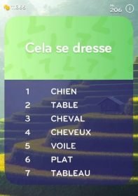 top 7 niveau 206 Cela se Dresse ?