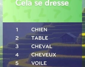 solution top 7 niveau 206 – Cela se Dresse ?