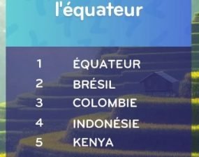 solution top 7 niveau 207 – Pays Traversé par l’équateur ?