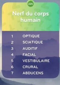 top 7 Niveau 225 - NERF DU CORPS HUMAIN