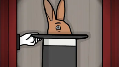 The Mr. Rabbit Magic Show solution